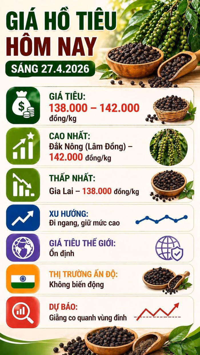 Nhận định xu hướng giá hồ tiêu trong thời gian tới