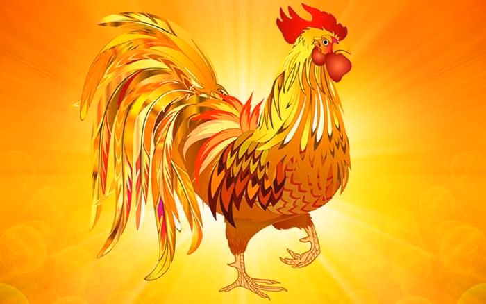 Khả năng quan sát chi tiết nhỏ giúp tuổi Dậu nhìn ra cơ hội mà người khác bỏ lỡ